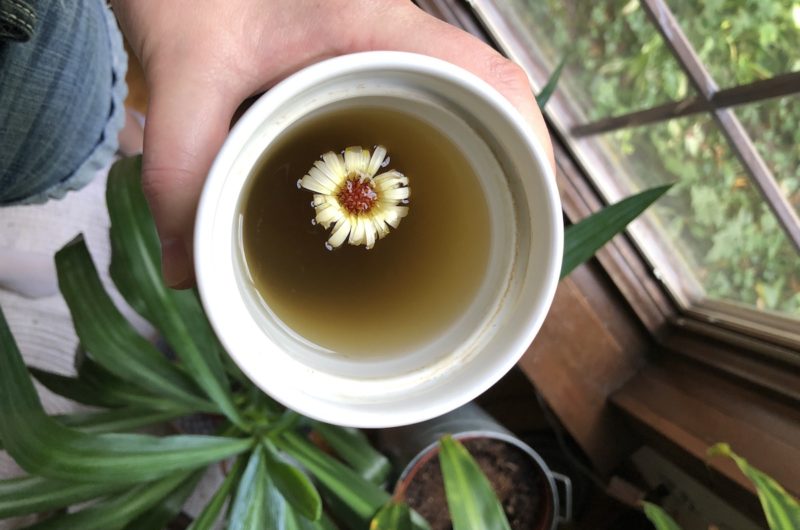 Herbal Tea with Fresh Herbs