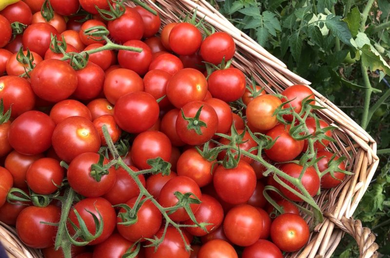 Garlic Roasted Cherry Tomatoes